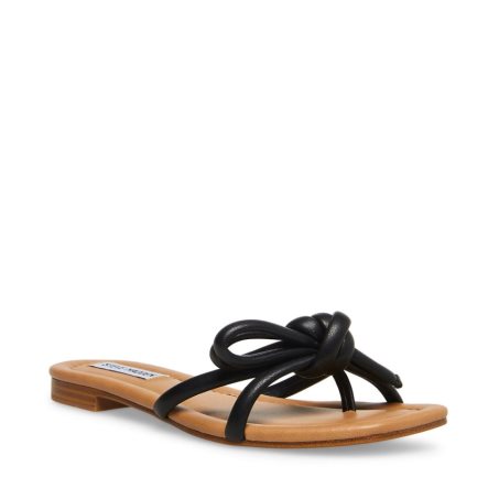 Black Steve Madden Maura Women's Slides | PH 8506GHQ